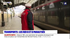 Panne sur les RER B et D: de nombreuses perturbations, une navette TGV mise en place