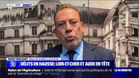 Marc Gricourt (maire PS de Blois): "Nous avons dans ce territoire la réalité de l'augmentation des vols avec violences, des cambriolages et des dépôts de plainte sur les violences intrafamiliales"