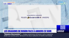 Hockey sur glace: les Dragons de Rouen affrontent Angers, le dauphin du championnat