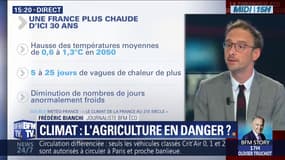 Comment le réchauffement climatique affecte l'agriculture française