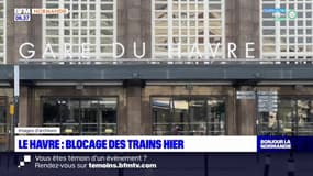 Réforme des retraites: des trains bloqués par des manifestants mardi au Havre 