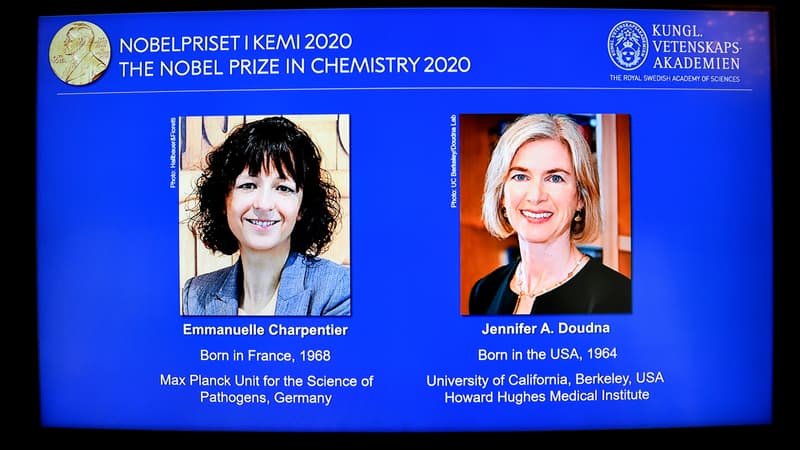 Deux femmes ont remporté le prix Nobel de chimie 2020, dont une Française.