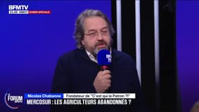FORUM BFM - Colère agricole: "Associez-vous, liez-vous de plus en plus aux consommateurs", conseille Nicolas Chabanne, fondateur de "C'est qui le Patron"