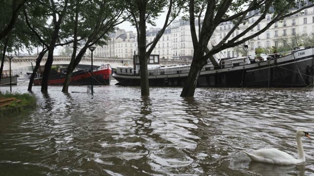 Des péniches naviguant sur la Seine, le 31 mai 2016, à la suite des fortes pluies s'étant abattues sur Paris et dans toute la France.