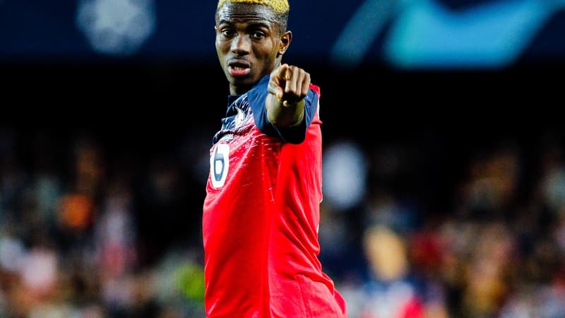 Victor Osimhen (LOSC)