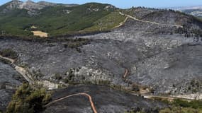 Forêt située près de Carmoux-en-Provence