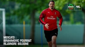 Mercato : Ibrahimovic pourrait rejoindre Bologne