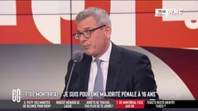 Insécurité : "Si la police et la justice remettent de l'autorité, tout le monde va se sentir de nouveau soutenu", promet Thibault de Montbrial