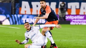 Damien Le Tallec