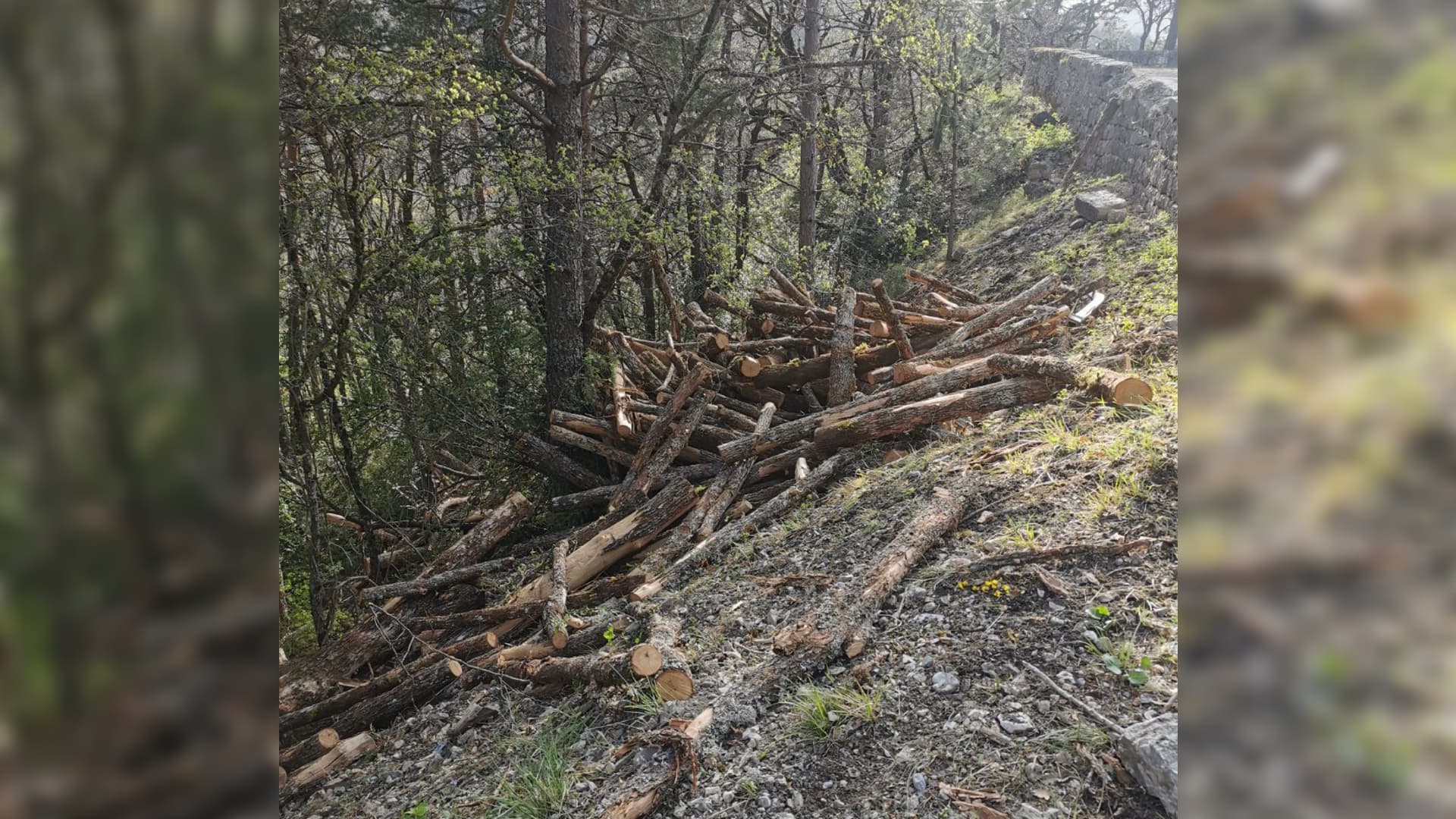Un camion a perdu son chargement de grumes dans le col des Lèques. Un camion a perdu son chargement de grumes dans le col des Lèques.