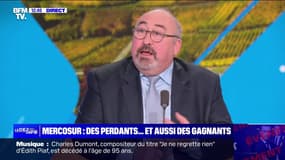 Mecosur: qui sont les perdants et les gagnants en France?