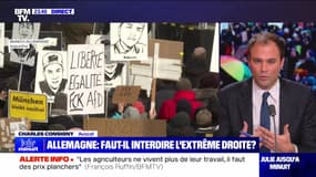 Allemagne : faut-il interdire l'extrême droite ? - 22/01