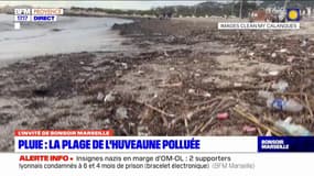Marseille: des déchets ramenés sur la plage après l'épisode méditerranéen