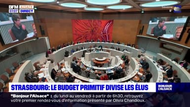 Strasbourg: le budget primitif divise les élus