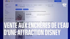 Une attraction de Disney World jugée raciste ferme, son eau est vendue aux enchères sur eBay