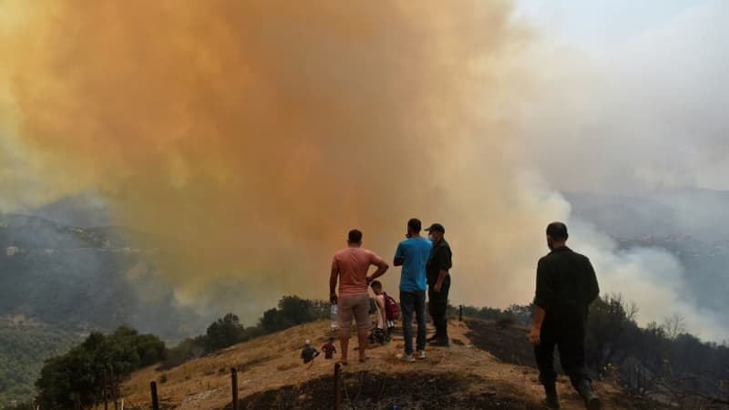 Algérie: au moins 26 morts après des incendies dans plusieurs villes