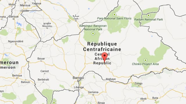Le premier tour des élections législatives en Centrafrique, organisé en même temps que celui de la présidentielle le 30 décembre 2015, est annulé en raison de "nombreuses irrégularités" - 25 janvier 2016