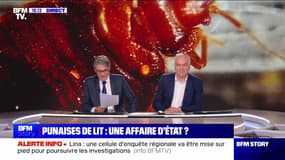 Story 4 :Punaise de lit : une affaire d'État ? - 03/10