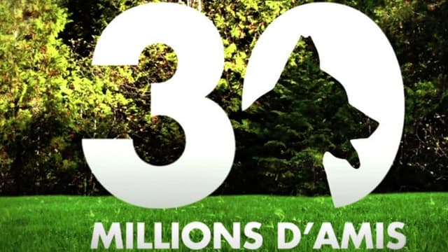 L'émission de France 3, à l'antenne depuis 40 ans, s'arrête.