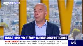 Loi Duplomb : Rousseau "comprend les interrogations" - 22/07