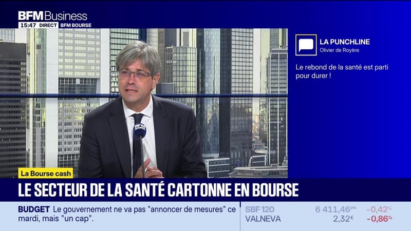 La bourse cash : "Le rebond de la santé est parti pour durer" - 06/07