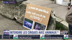 Faut-il interdire les animaux sauvages dans les cirques? Les militants mobilisés samedi devant le cirque Medrano à Lyon