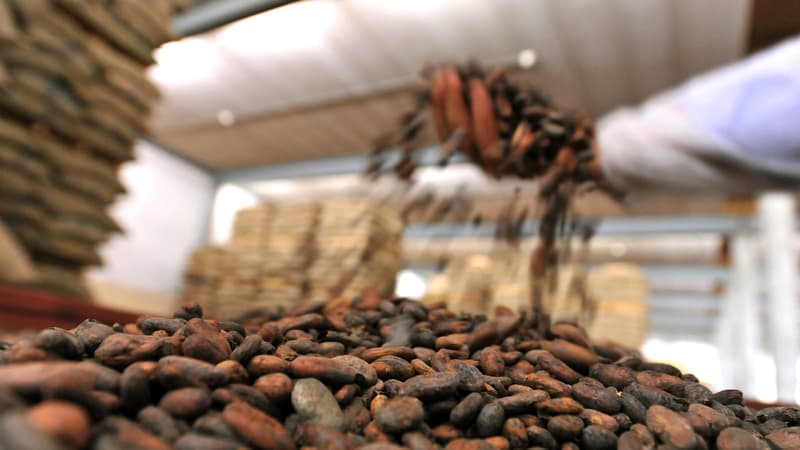 2.500 postes menacés: le chocolatier Barry Callebaut envisage de supprimer 18% de ses effectifs
