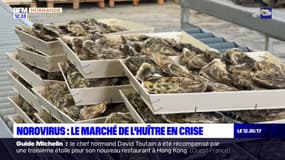 Normandie: le marché de l'huître en crise après la détection de cas de norovirus en décembre
