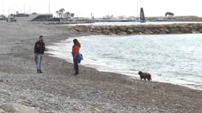 Une plage à Cagnes-sur-Mer en 2025 (photo d'illustration).