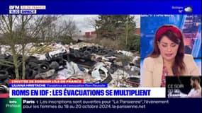 Campement Roms en Île-de-France: une association dénonce le manque de "solutions d'urgence" 