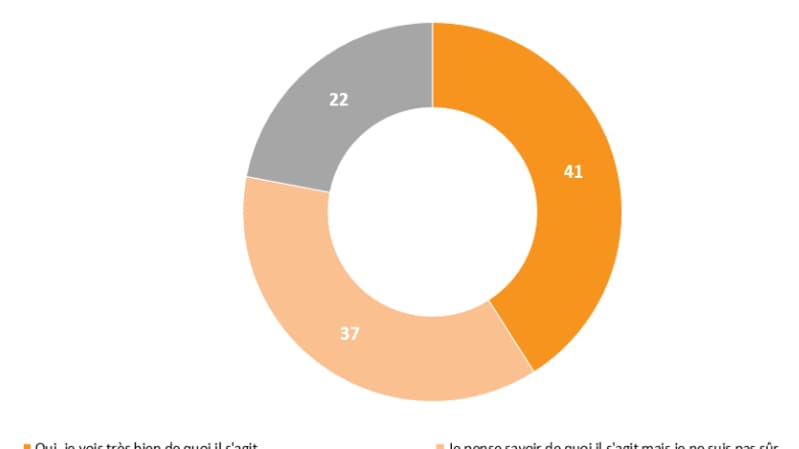 Les résultats du sondage Elabe pour BFMTV Les résultats du sondage Elabe pour BFMTV
