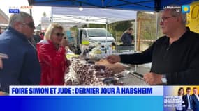 Habsheim: dernier jour de la foire Simon et Jude avec le grand concours de bovins