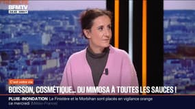 C'est votre vie - 21/01