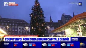 Strasbourg: le sapin s'illumine pour le coup d'envoi du marché de Noël
