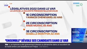 Législatives: la majorité présidentielle dévoile ses candidats dans le Var
