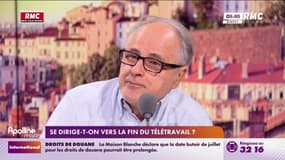 "Le télétravail est entré par effraction dans nos vies, on n'était pas du tout préparé"