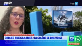 Orques de Marineland transférées aux Canaries: une annonce "scandaleuse" fulmine One Voice