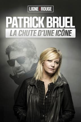 Patrick Bruel, la chute d'une icône