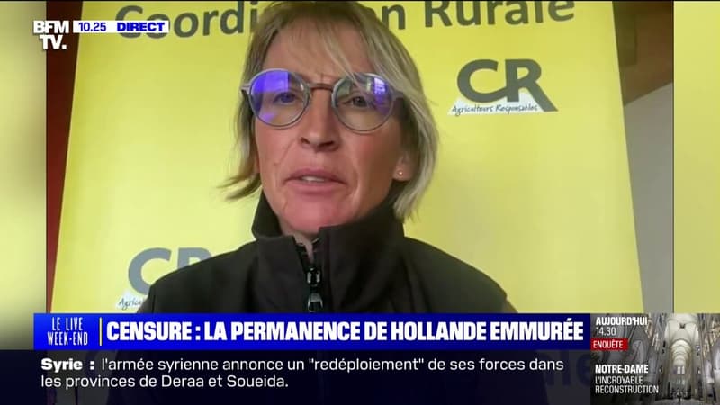 Véronique Le Floch (Coordination rurale) sur le Mercosur: 