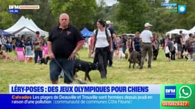Léry-Poses: la base de loisir accueille ce week-end un événement 100% canin
