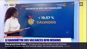 Île-de-France: où sont partis les habitants pendant les vacances de Noël 2023?