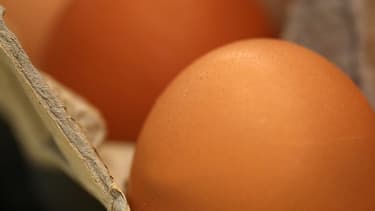 Le numéro de catégorie indique le mode d'élevage de la poule.