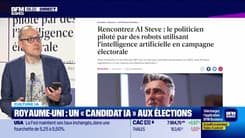 Culture IA : Royaume-Uni, un "candidat IA" aux élections, par Anthony Morel - 13/06