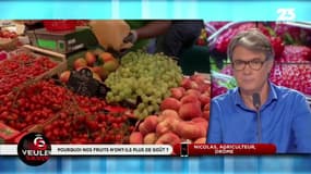 #FraisesAbricots - "J'utilise des pesticides pour mes fruits, oui. Il me semble que le goût ne change pas à cause de ça. [...] J'ai pris la décision d'en utiliser de moins en moins." 