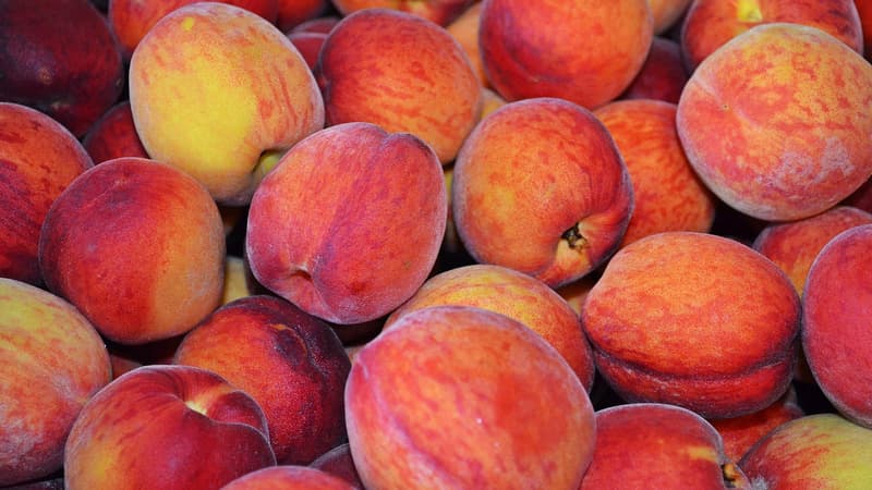 La production d'abricots explose (+32%), celle de pêches chute (-11%) mais pourtant les prix restent assez stables