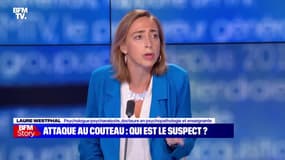 Story 8 : Attaque au couteau au Mans, qui est le suspect ? - 28/07