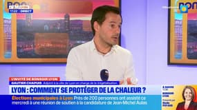 Lyon: l'adjoint à la ville chargé de la végétalisation explique comment se protéger de la chaleur 