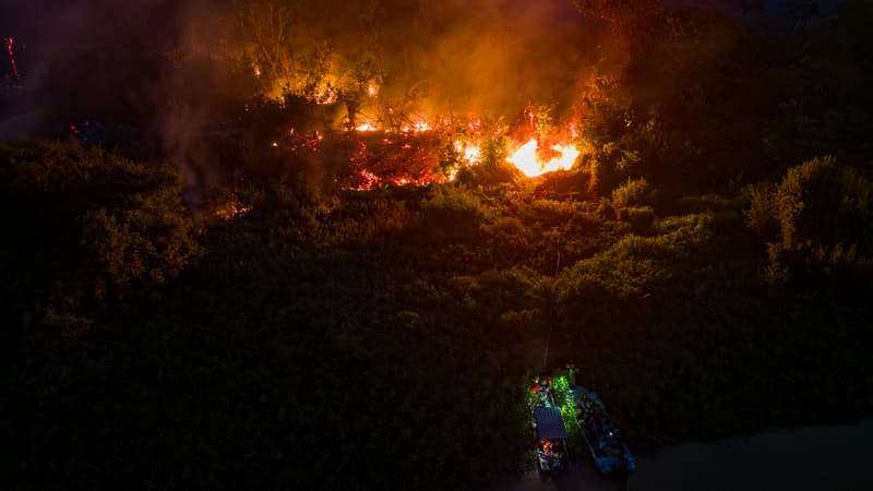 Brésil: des feux ravagent la plus grande zone humide de la planète, de nombreux animaux en danger