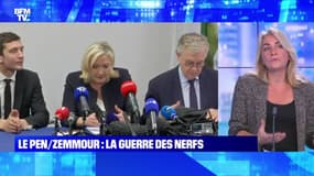 Le Pen / Zemmour : Match par meetings interposés (3) - 04/02