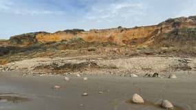 Un pan de falaise s'est effondré mardi à Wimereux.